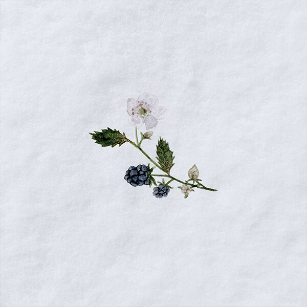 cold-love-release-cover-artwork-by-relatiiv